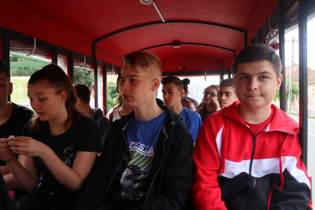 Verébtábor az Aranyban 2019 33